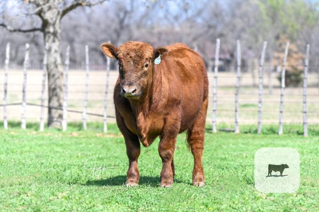 Cattle Range Listing Photo