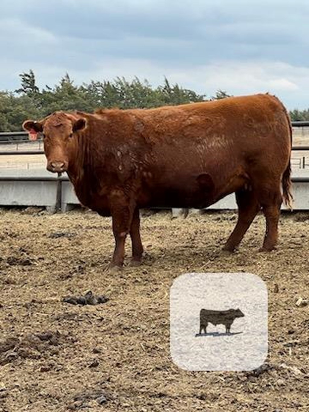 Cattle Range Listing Photo
