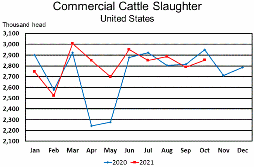 Monthly Livestock Slaughter Report