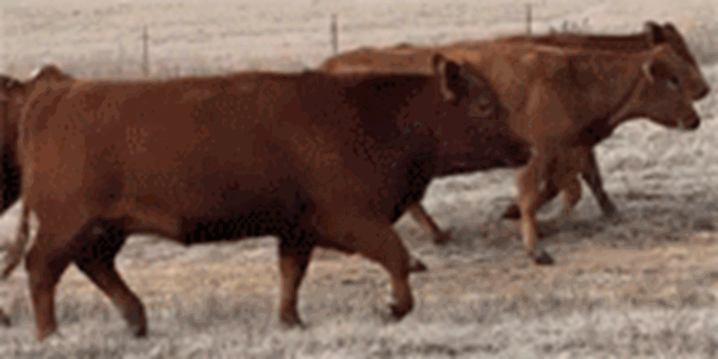 Listings Cattle Range