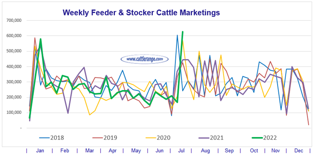 Weekly Feeder & Stocker Cattle Marketings for week ending 7/16/22