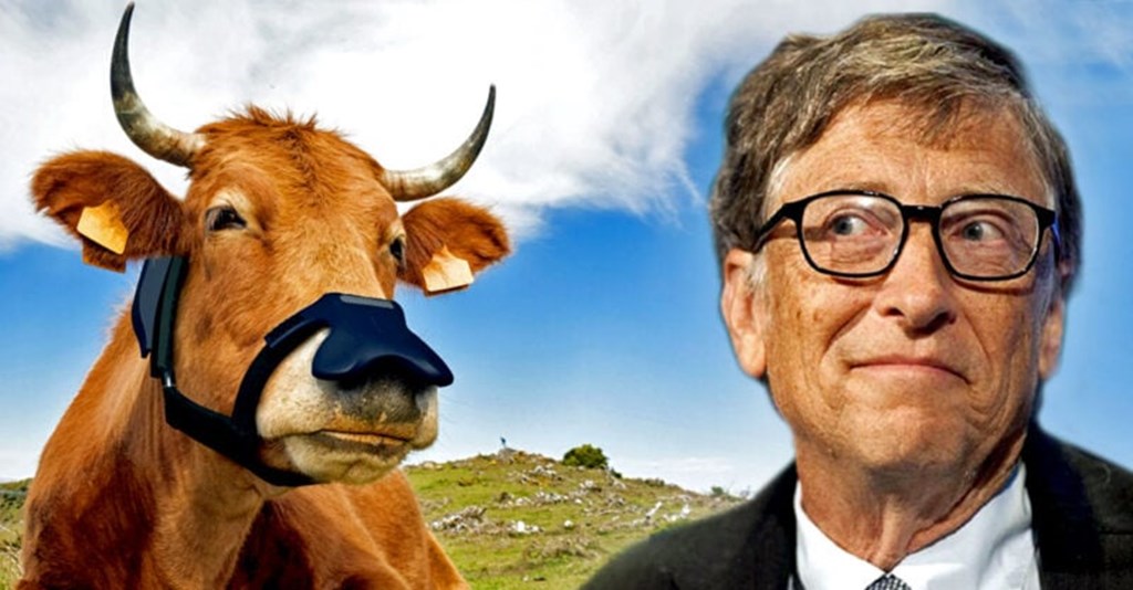‘Smart’ Masks for Cows? Gates Invests $4.7 Million in Data-Collecting Faceware for Livestock