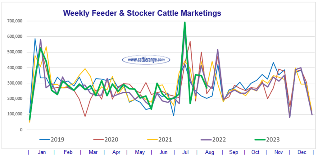 Feeder & Stocker Cattle Marketings for the week ending 8/12/23