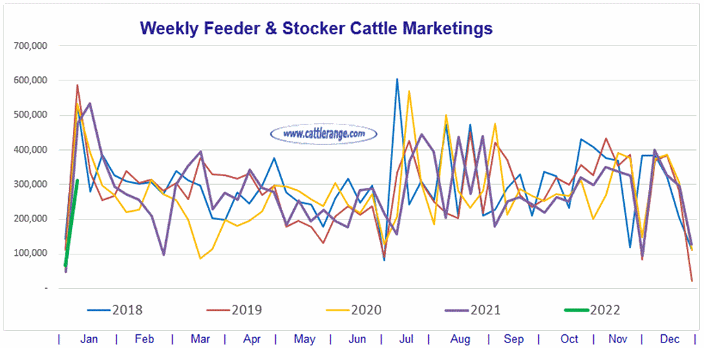 Weekly Feeder & Stocker Cattle Marketings for week ending 01/08/22