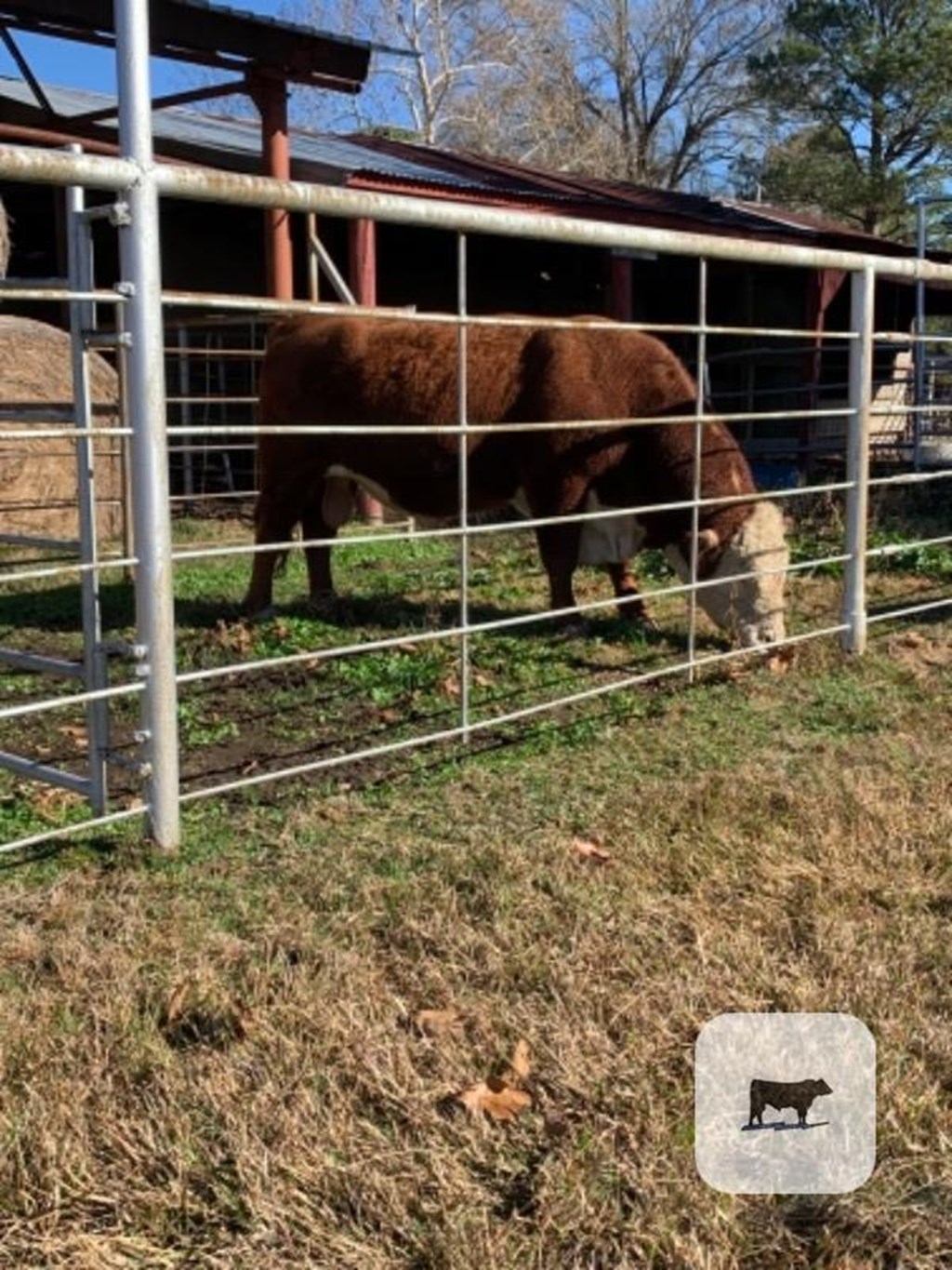 Cattle Range Listing Photo