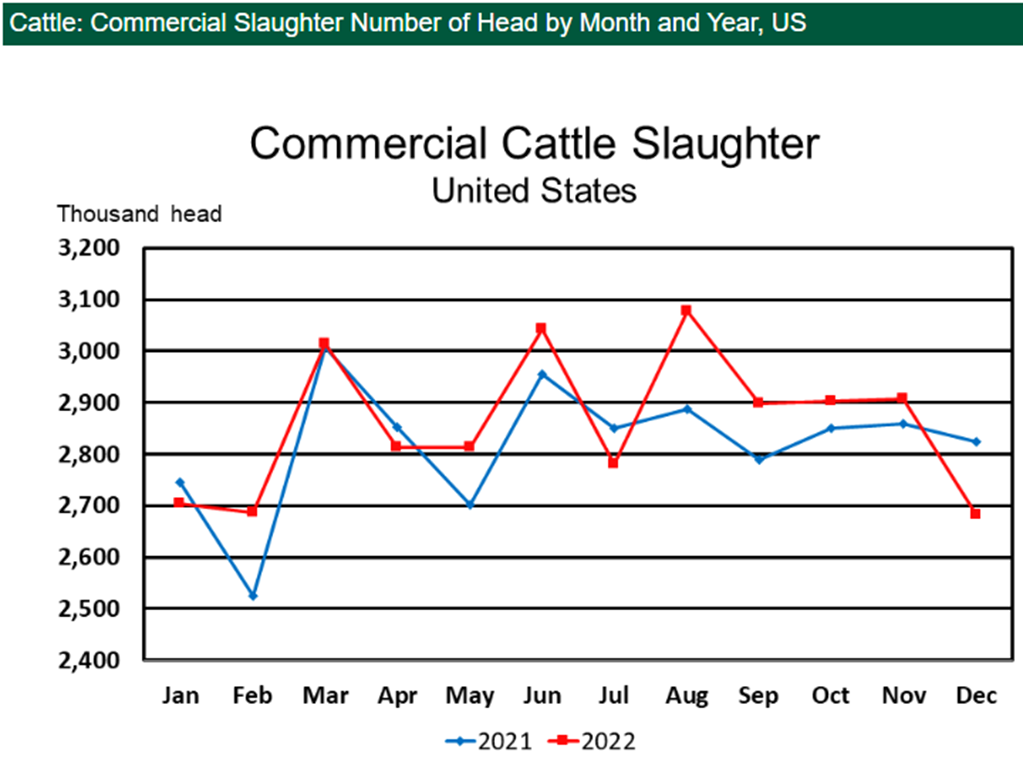 December Red Meat Production Down 7 Percent; Beef Production Down 5 Percent
