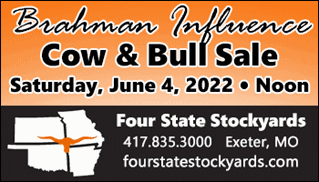 SS-Brahman Influence Cow & Bull Sale-06-04-2022