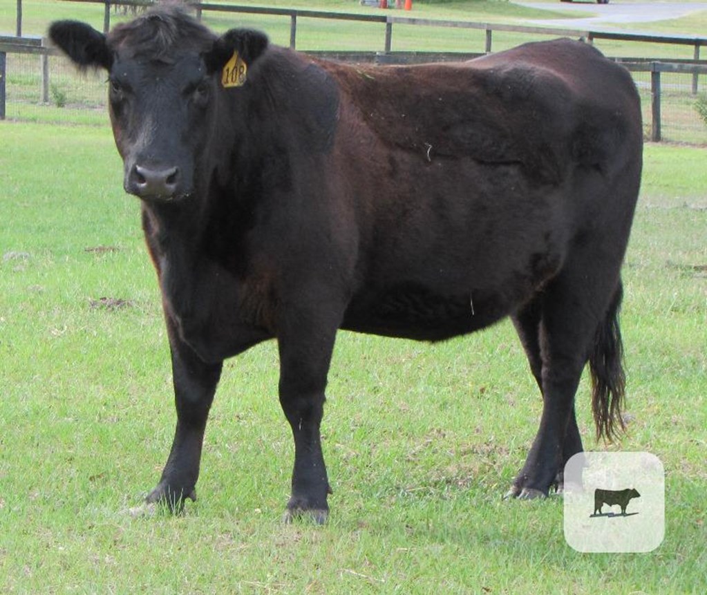 Cattle Range Listing Photo