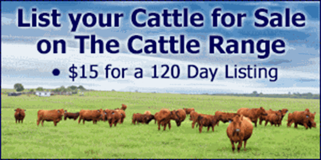 List Cattle for Sale