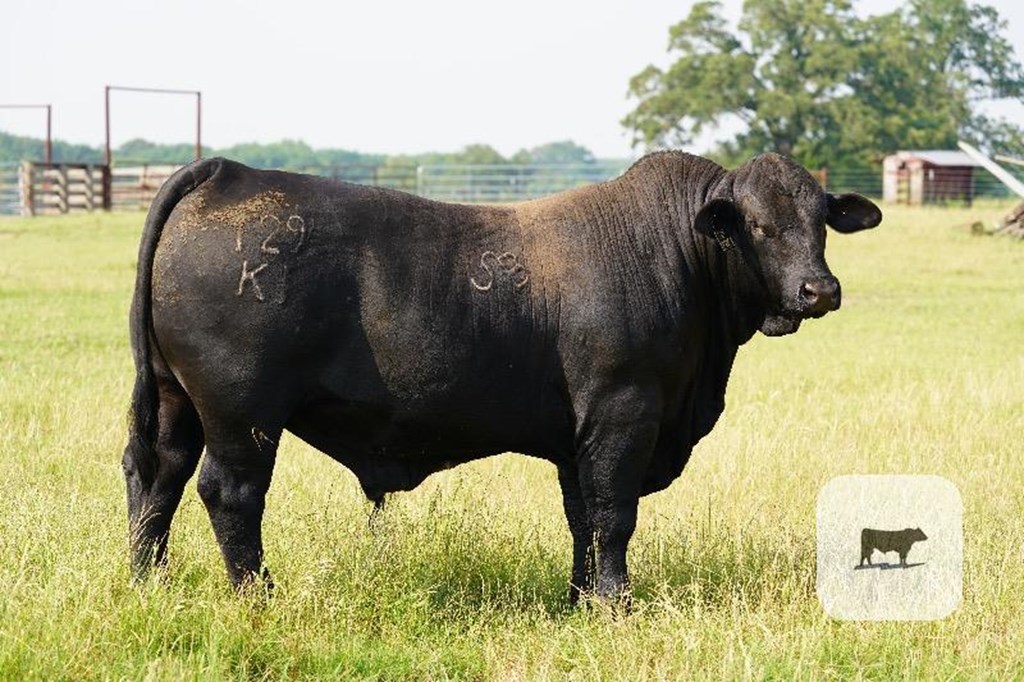 Cattle Range Listing Photo