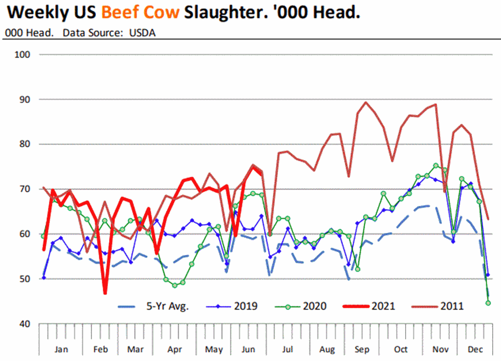 Drought Impact on Beef Cow Slaughter