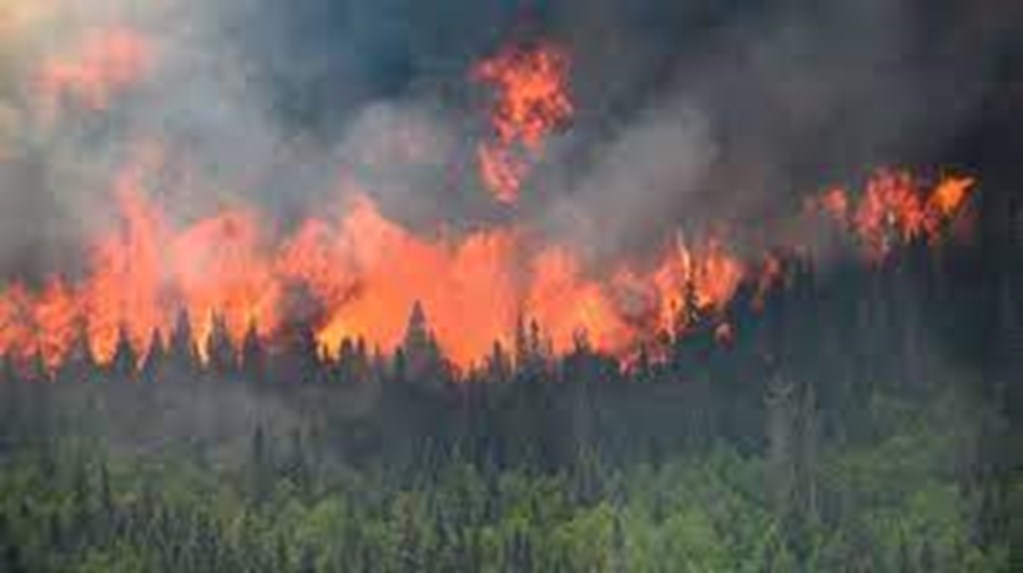 Rancher urges Congress to utilize Livestock Grazing to help minimize Wildfires