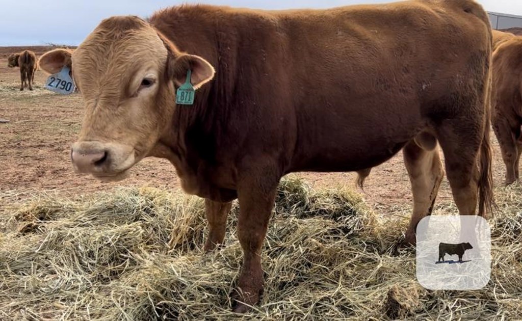 Cattle Range Listing Photo