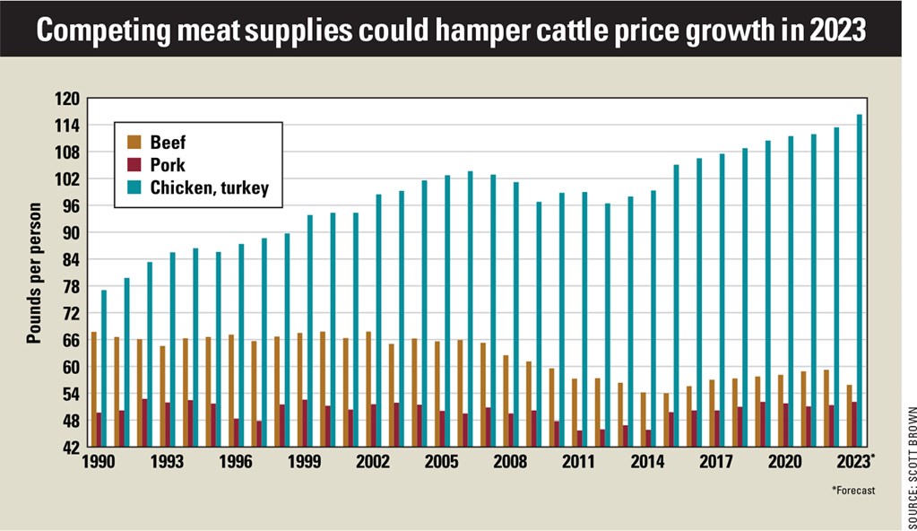Beef Outlook: Competing Meat Supplies could limit Cattle Price Growth