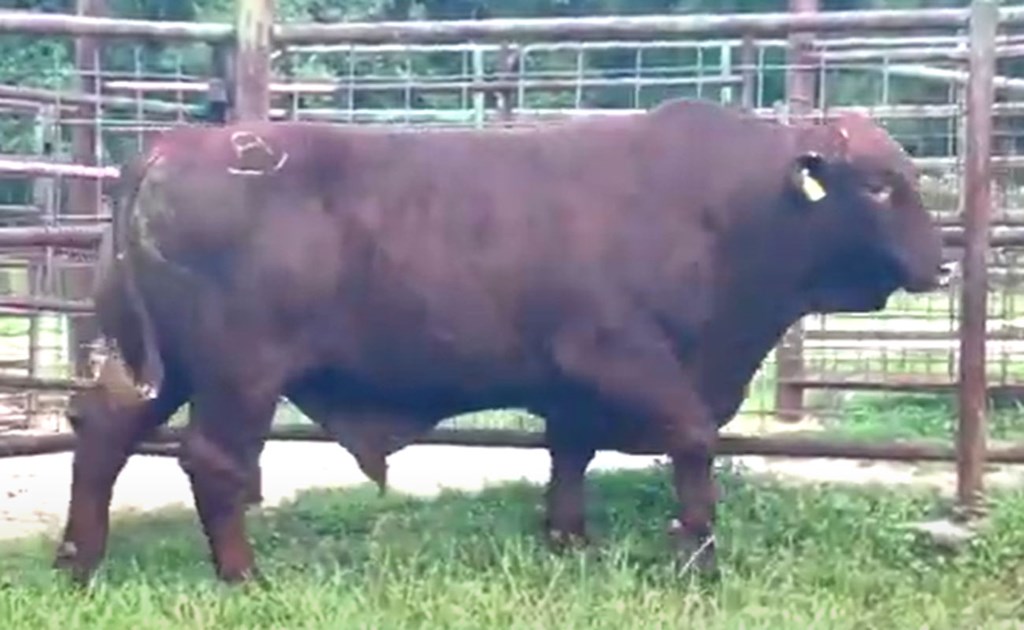 Cattle Range Listing Photo