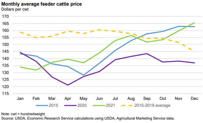 Forecast for Feeder and Fed Steer Prices Raised in 2022