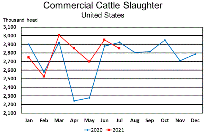 August 19th: Monthly Livestock Slaughter Report