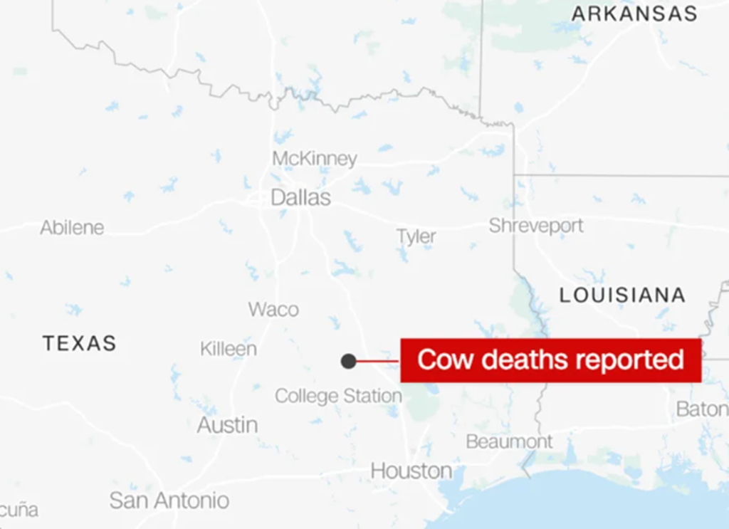 Cows in Texas found Dead with Tongues Missing