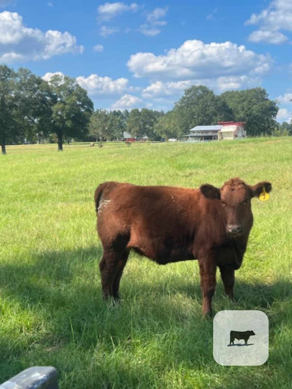 Cattle Range Listing Photo
