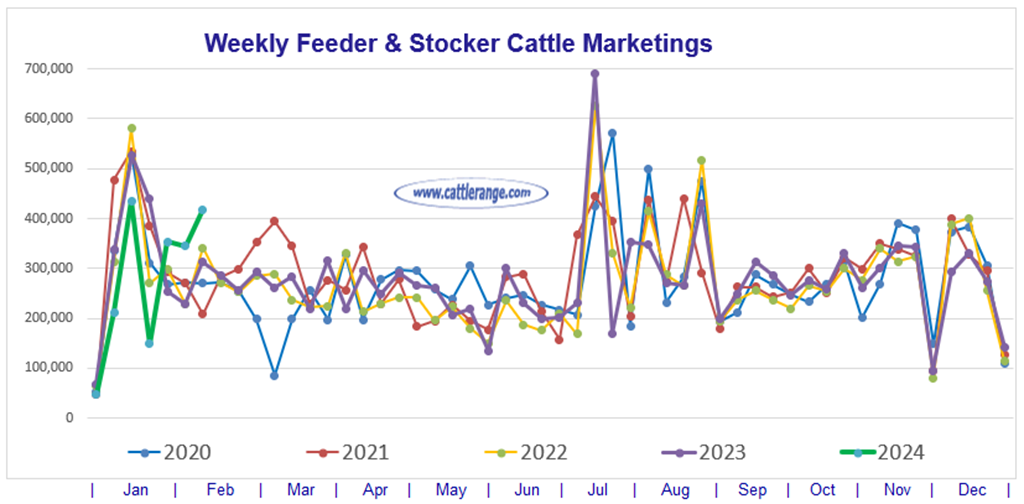 Feeder & Stocker Cattle Marketings for the week ending 2/10/24
