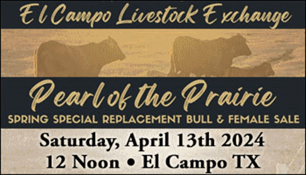 El Campo Pearl of the Prairie Spring Sale