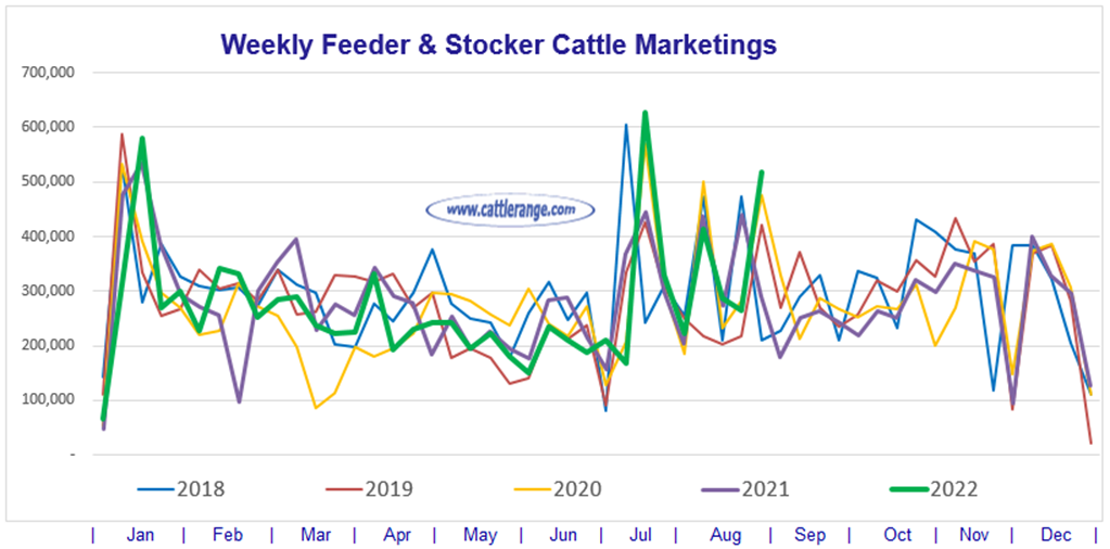 Weekly Feeder & Stocker Cattle Marketings for week ending 8/27/22