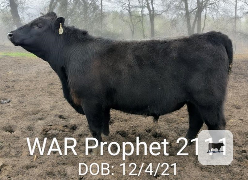 Cattle Range Listing Photo