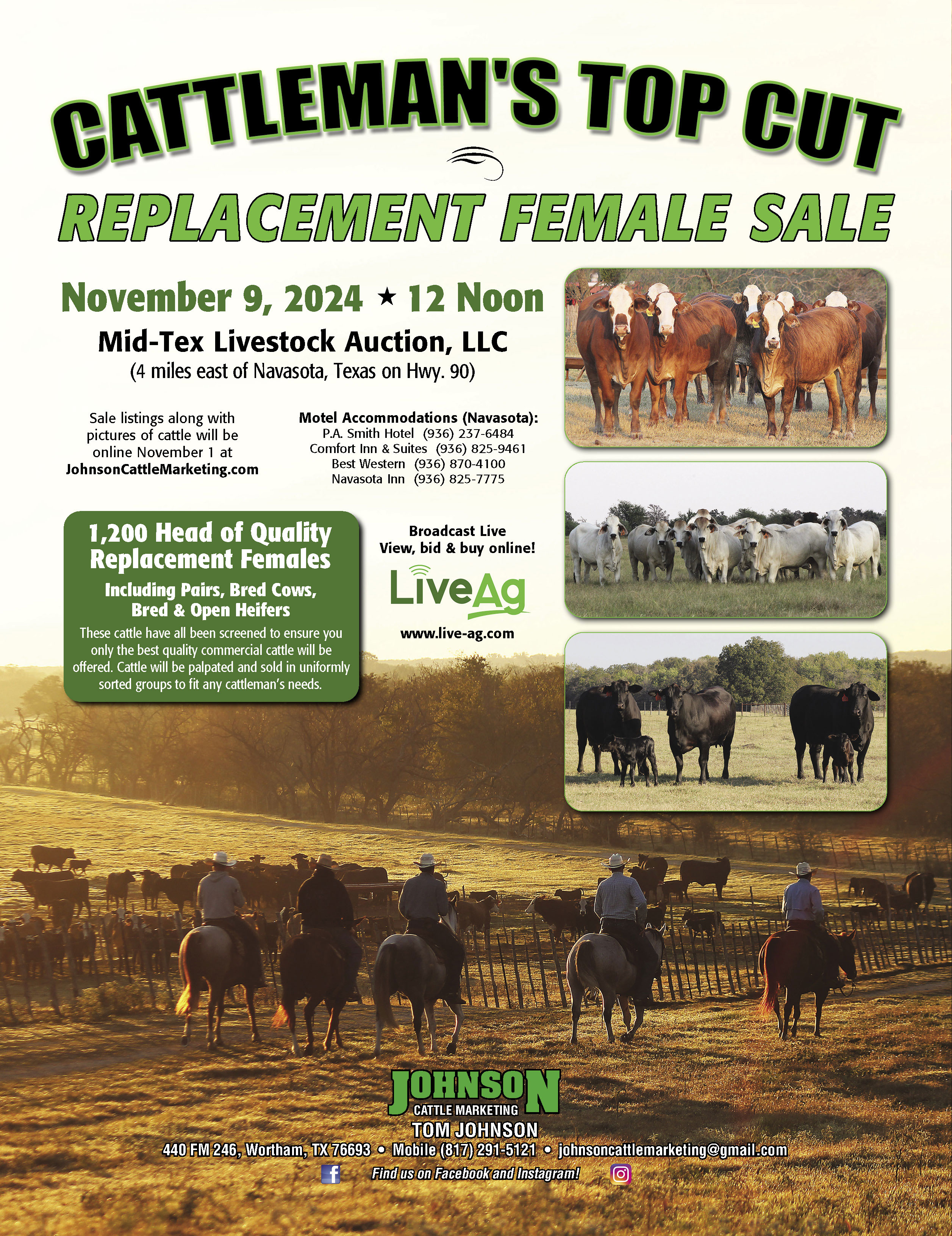 Beef Production and Fall Beef Demand Cattle Range