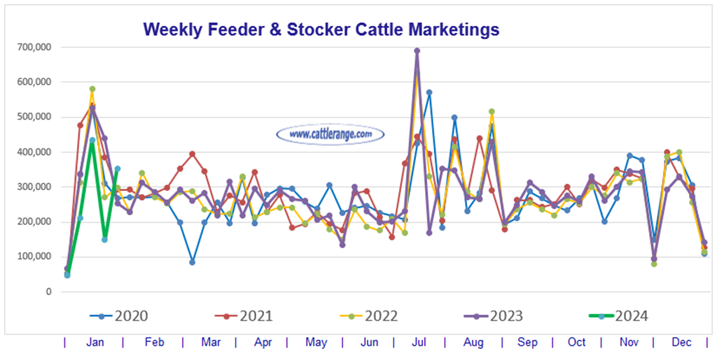 Feeder & Stocker Cattle Marketings for the week ending 1/27/24