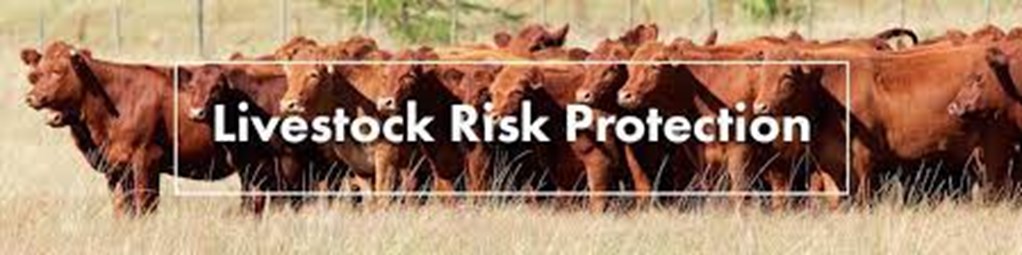 Livestock Risk Protection (LRP) Trends