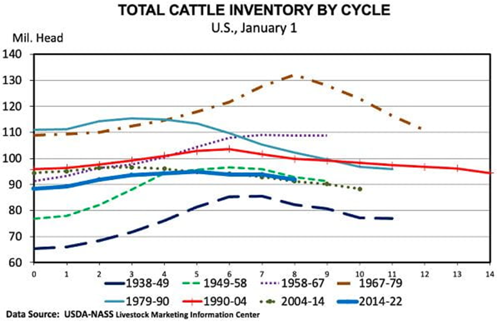 The Cattle Cycle: It can be a long 10 years